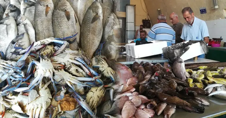 লেবাননে সামুদ্রিক মাছের বাজার